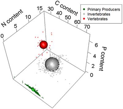 The Multidimensional Stoichiometric Niche